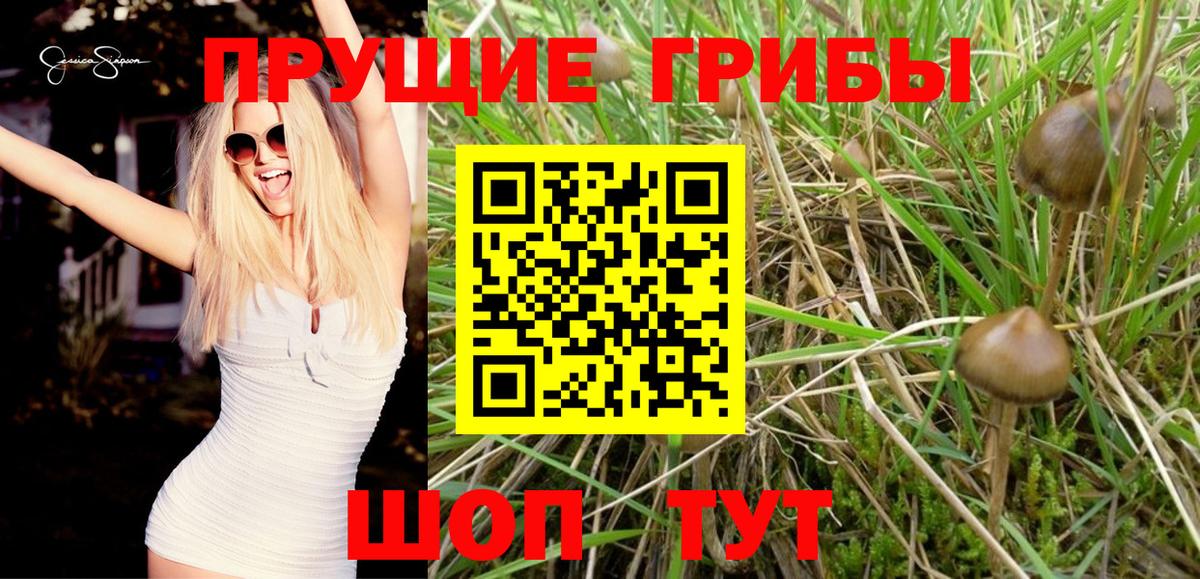Галлюциногенные грибы прущие грибы  Галлюциногенные грибы Psilocybe  Протвино  Вход с VPN 