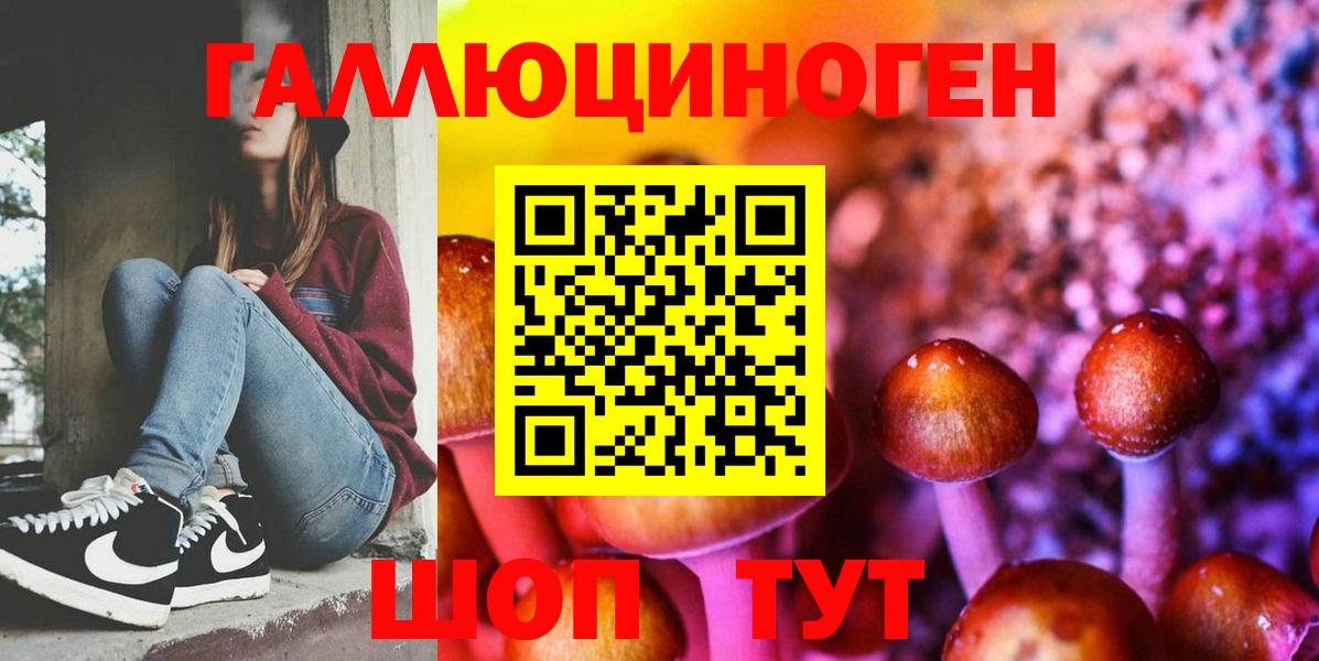Галлюциногенные грибы Psilocybe Протвино